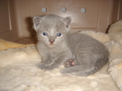 DSC00794.JPG