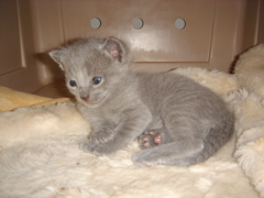 DSC00795.JPG