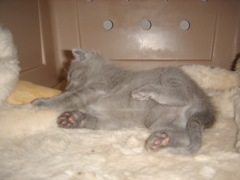 DSC00796.JPG