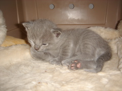 DSC00798.JPG