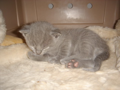DSC00797.JPG