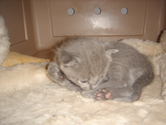 DSC00799.JPG