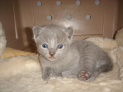 DSC00802.JPG
