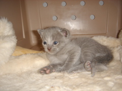 DSC00803.JPG