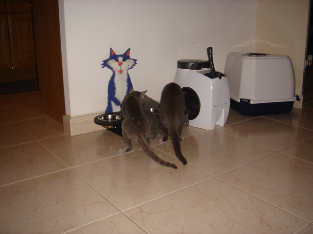 DSC01006.JPG