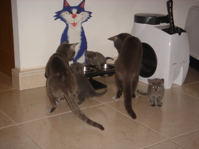 DSC01007.JPG
