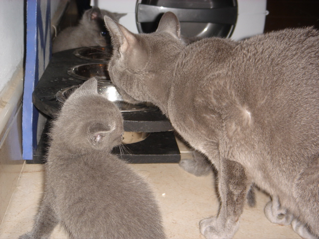 DSC01012.JPG
