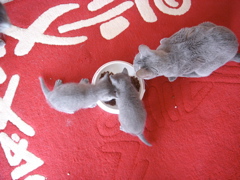 DSC00996.JPG