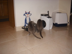 DSC01006.JPG