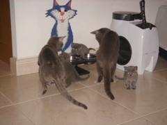 DSC01007.JPG