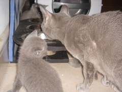 DSC01012.JPG