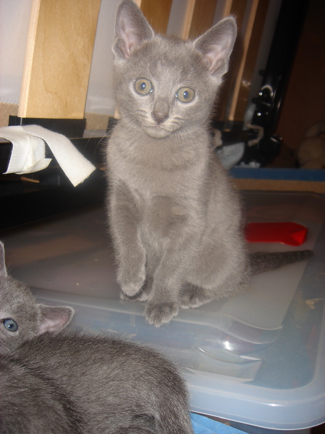DSC01686.JPG