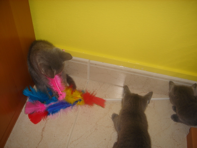 DSC01805.JPG