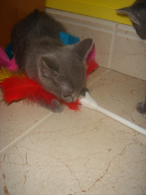 DSC01816.JPG