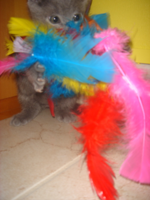 DSC01808.JPG