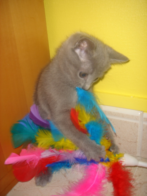 DSC01809.JPG