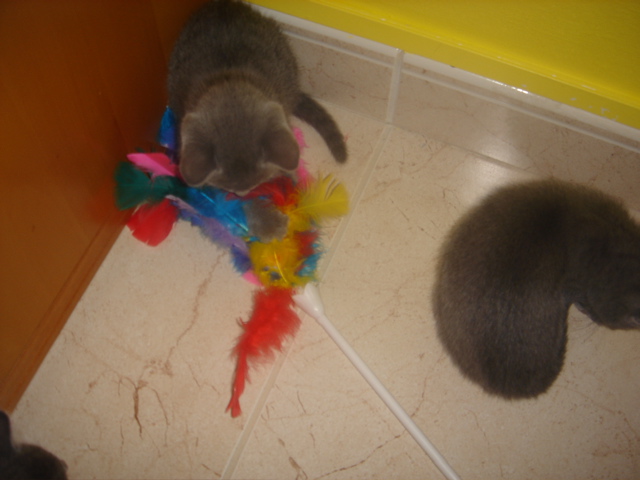 DSC01811.JPG