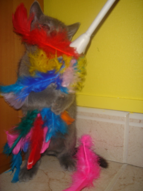 DSC01812.JPG