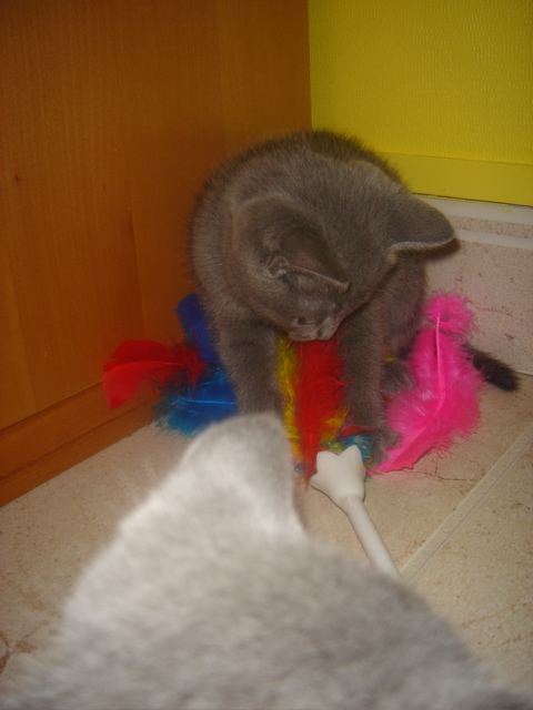 DSC01814.JPG
