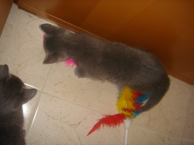 DSC01818.JPG