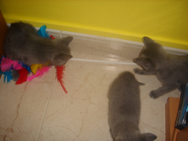 DSC01817.JPG
