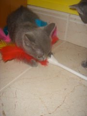 DSC01816.JPG