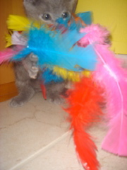 DSC01808.JPG