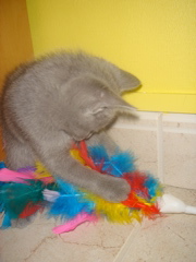 DSC01813.JPG
