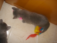 DSC01818.JPG
