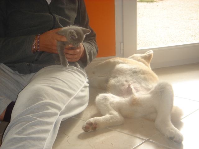 DSC01824.JPG