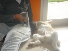 DSC01823.JPG