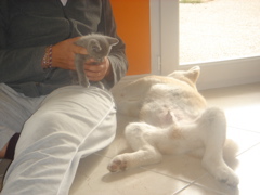 DSC01824.JPG