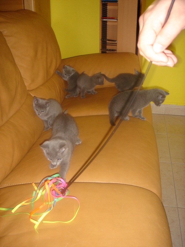 DSC01803.JPG