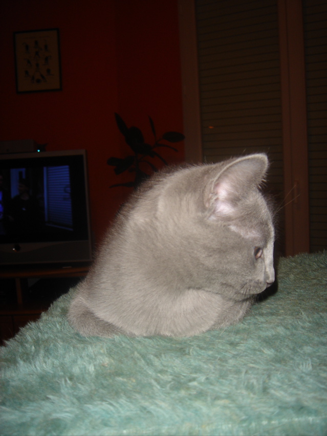 DSC02248.JPG