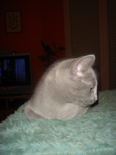 DSC02248.JPG