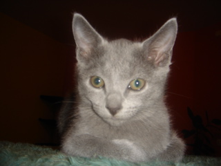DSC02254.JPG