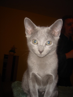 DSC02239.JPG