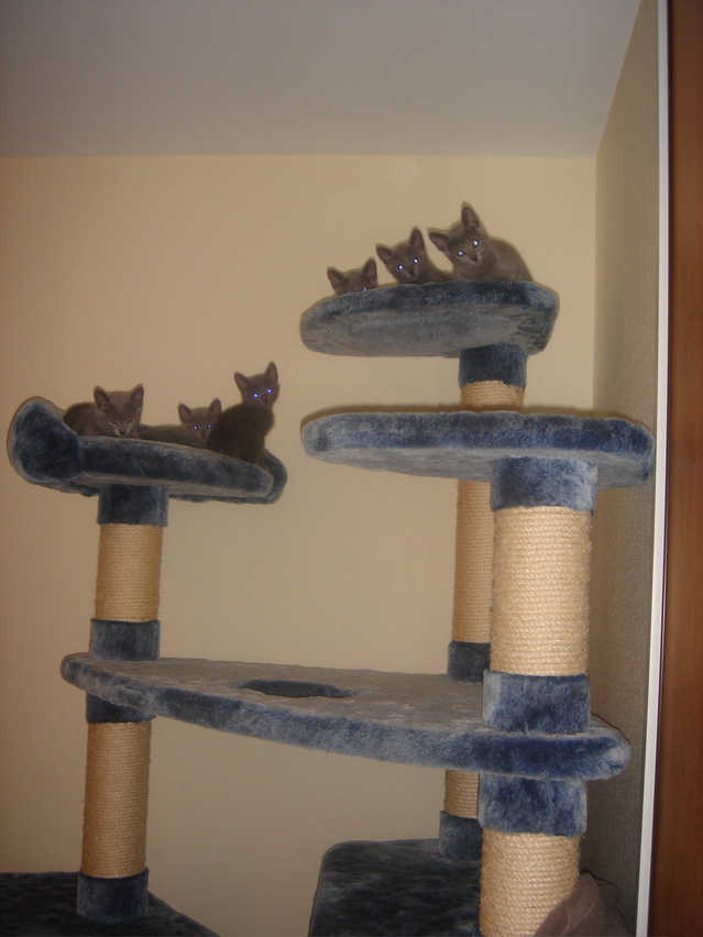 DSC01925.JPG