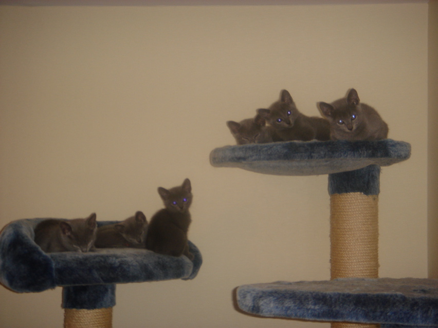 DSC01929.JPG