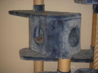 DSC01928.JPG