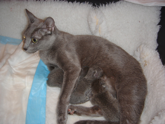 en famille