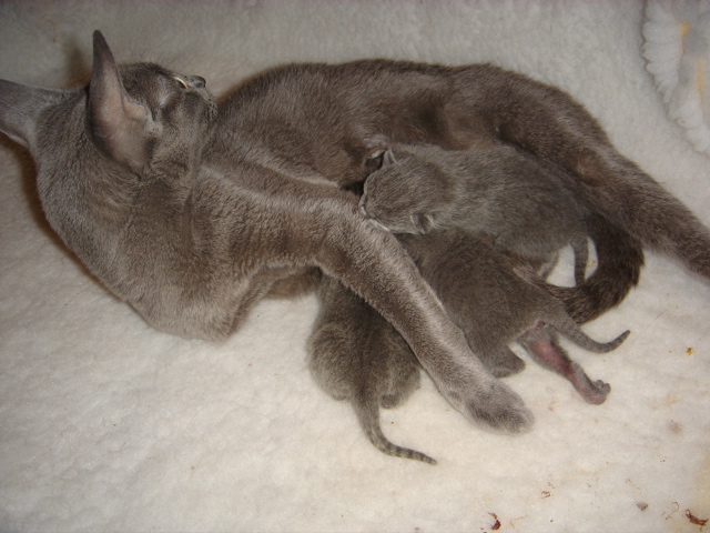 DSC00492.JPG