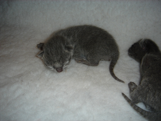 DSC00473.JPG
