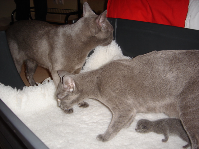 DSC00476.JPG