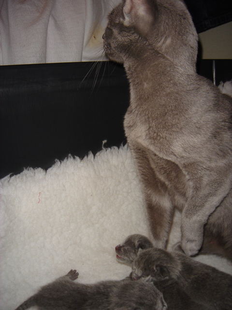 DSC00480.JPG
