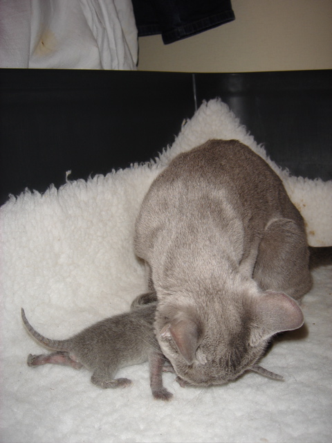 DSC00481.JPG