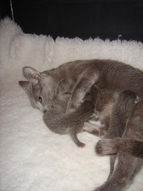 DSC00484.JPG