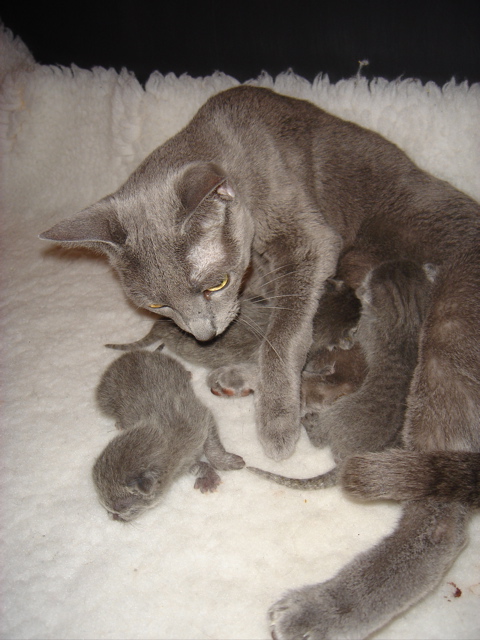 DSC00485.JPG