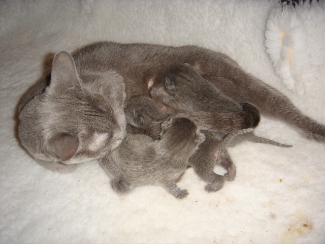 DSC00488.JPG