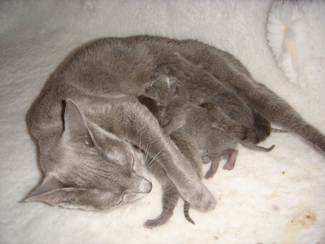 DSC00489.JPG